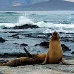 galapagos-cruceros-ecuador